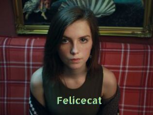 Felicecat
