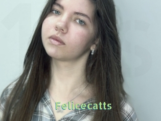 Felicecatts