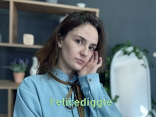 Felicediggle