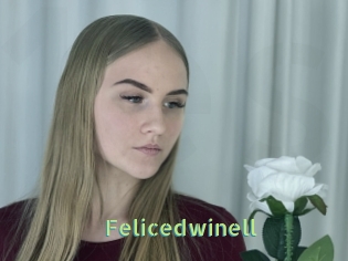Felicedwinell