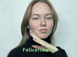 Feliceflowers