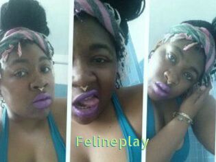 Felineplay