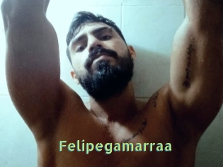 Felipegamarraa