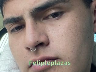 Felipleplazas