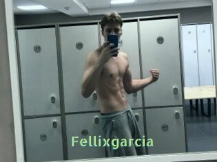Fellixgarcia