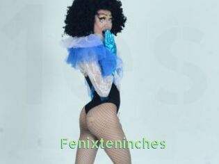 Fenixteninches