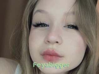 Feyabigger