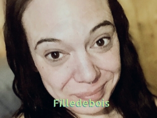 Filledebois