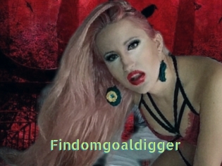 Findomgoaldigger