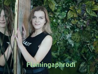 Flamingaphrodi