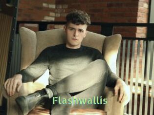 Flashwallis