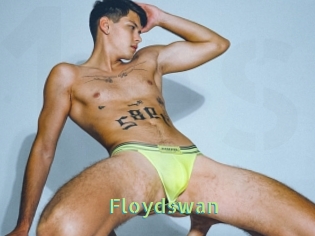 Floydswan
