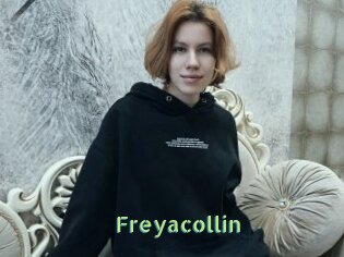 Freyacollin