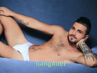 GangAnel