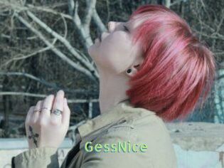 GessNice