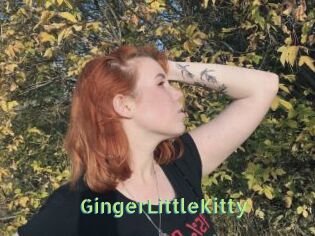 GingerLittleKitty
