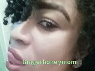 Gingerhoneymom