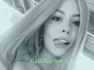 Gallibarbara