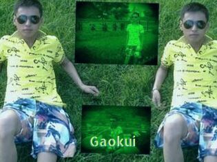 Gaokui