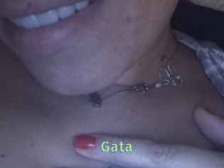 Gata
