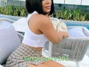 Gingerspice202