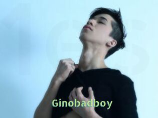 Ginobadboy