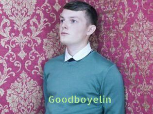 Goodboyelin