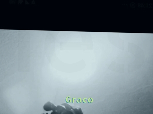 Graco