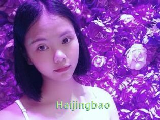 Haijingbao