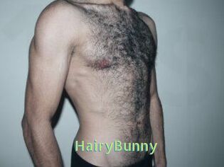 HairyBunny