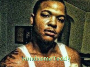 HandsomeTeddy