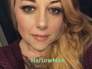 HarlowMae