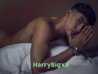 HarryBigxx