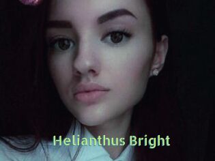 Helianthus_Bright