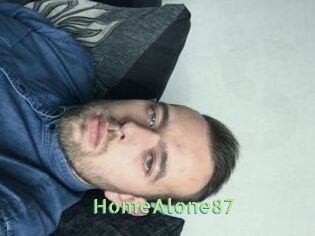 HomeAlone87