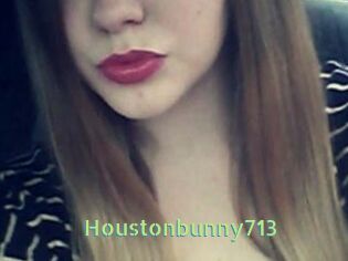 Houstonbunny713