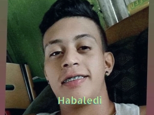 Habaledi