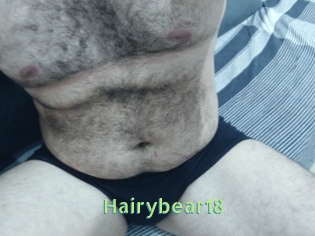 Hairybear18