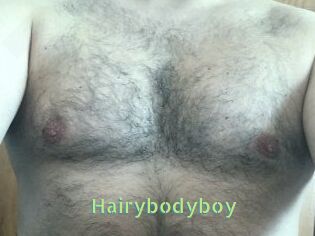 Hairybodyboy