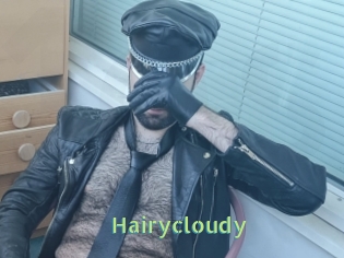 Hairycloudy