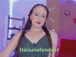 Halaanatendeer