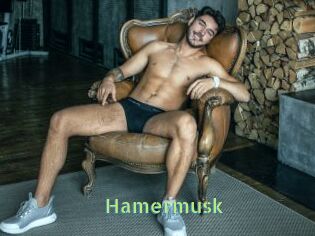Hamermusk