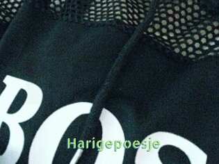 Harigepoesje