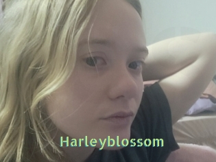 Harleyblossom