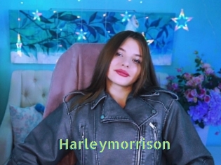 Harleymorrison