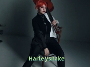 Harleysnake