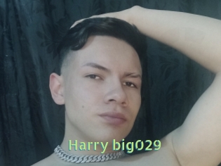 Harry_big029
