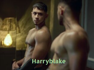 Harryblake