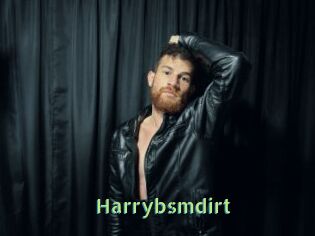 Harrybsmdirt