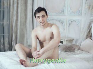 Harrygentle